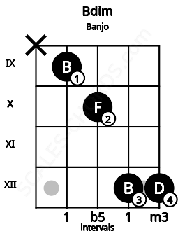 Fretboard image for the Bdim chord on banjo frets: x 9 10 12 12