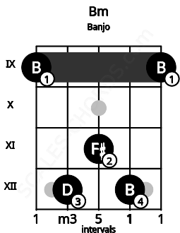 Fretboard image for the Bm chord on banjo frets: 9 12 11 12 9
