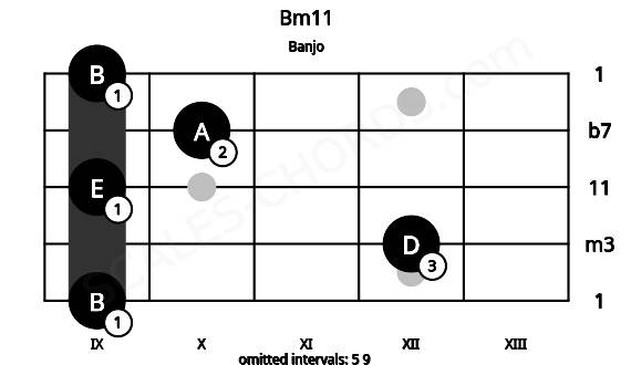 Fretboard image for the Bm11 chord on banjo frets: 9 12 9 10 9