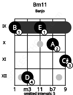 Fretboard image for the Bm11 chord on banjo frets: 9 12 9 10 11