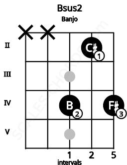 Fretboard image for the Bsus2 chord on banjo frets: x x 4 2 4