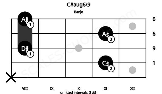 Fretboard image for the C#aug6\9 chord on banjo frets: x 11 8 11 8