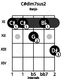 Fretboard image for the C#dim7sus2 chord on banjo frets: 11 11 12 11 13