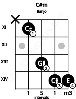 Fretboard image for the C#m chord on banjo frets: x 11 13 14 14