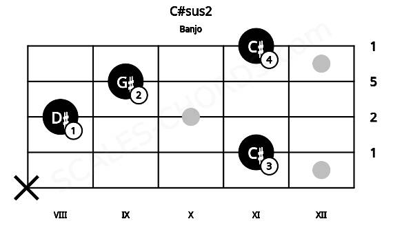 Fretboard image for the C#sus2 chord on banjo frets: x 11 8 9 11