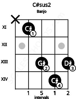 Fretboard image for the C#sus2 chord on banjo frets: x 11 13 14 13