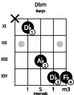 Fretboard image for the Dbm chord on banjo frets: x 11 13 14 14