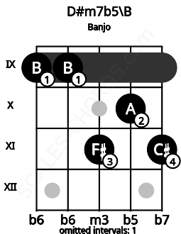 Fretboard image for the D#m7b5\B chord on banjo frets: 9 9 11 10 11