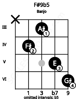 Fretboard image for the F#9b5 chord on banjo frets: x 4 3 5 6