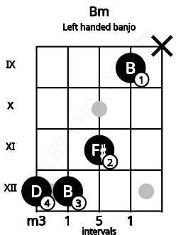 Fretboard image for the Bm chord on left handled banjo frets: x 9 11 12 12