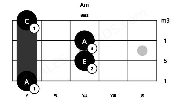 Fretboard image for the Am chord on bass frets: 5 7 7 5