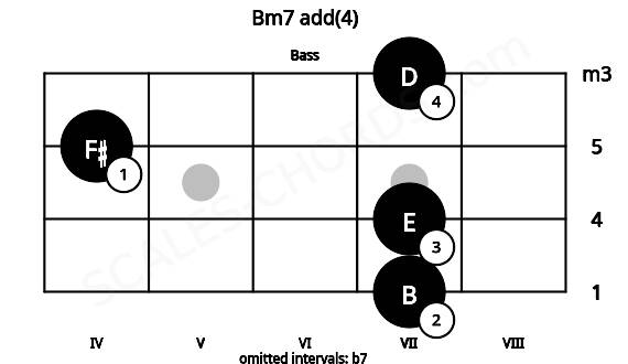 Fretboard image for the Bm7 add(4) chord on bass frets: 7 7 4 7