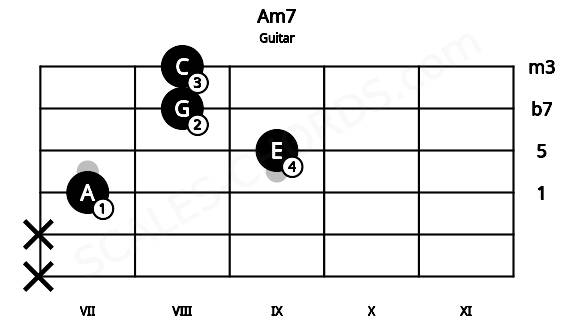 Fretboard image for the Am7 chord on guitar frets: x x 7 9 8 8