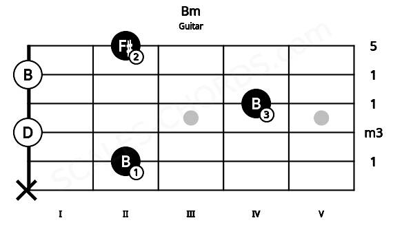 Fretboard image for the Bm chord on guitar frets: x 2 0 4 0 2