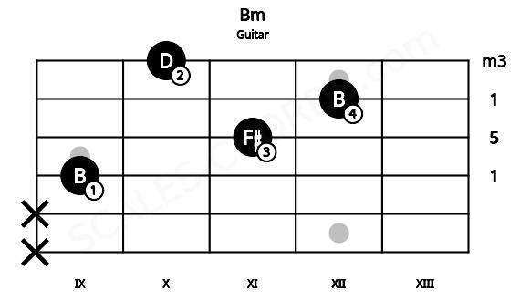 Fretboard image for the Bm chord on guitar frets: x x 9 11 12 10