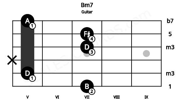 Fretboard image for the Bm7 chord on guitar frets: 7 5 x 7 7 5