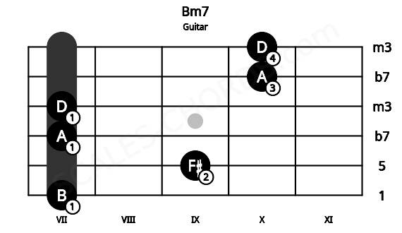 Fretboard image for the Bm7 chord on guitar frets: 7 9 7 7 10 10
