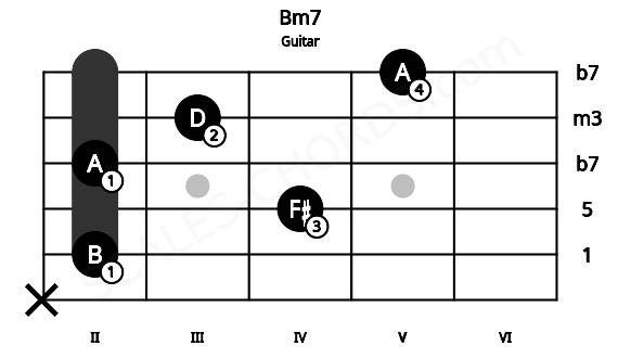Fretboard image for the Bm7 chord on guitar frets: x 2 4 2 3 5