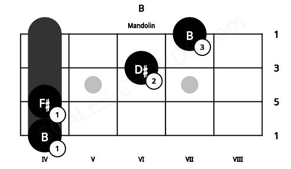 Fretboard image for the B chord on mandolin frets: 4 4 6 7