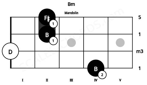 Fretboard image for the Bm chord on mandolin frets: 4 0 2 2