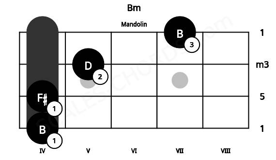Fretboard image for the Bm chord on mandolin frets: 4 4 5 7