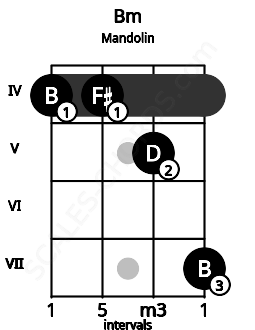 Fretboard image for the Bm chord on mandolin frets: 4 4 5 7