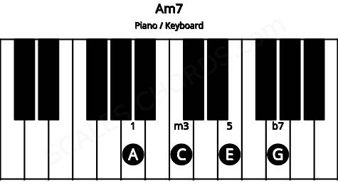 Piano keyboard image for the Am7 chord on notes: A C E G