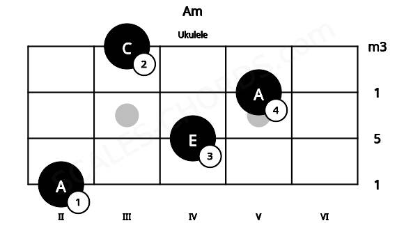 Fretboard image for the Am chord on ukulele frets: 2 4 5 3
