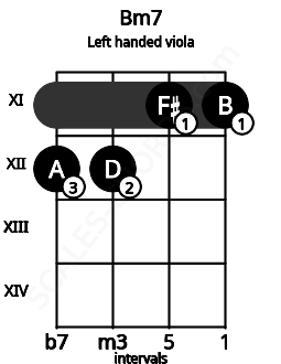 Fretboard image for the Bm7 chord on left handled viola frets: 11 11 12 12
