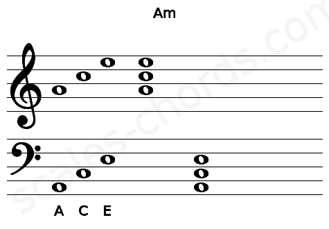 Musical staff for the Am chord