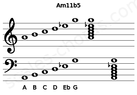 Musical staff for the Am11b5 chord