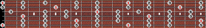 Diatonic scale on key E for Guitar